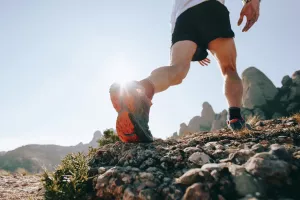Otsoaren Deia Trail