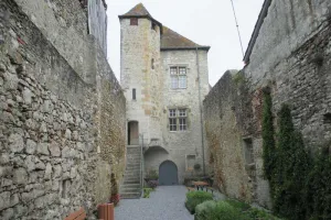 Visite guidée : Orthez, cité médiévale