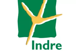 Sortie nature : Oedicnème criard
