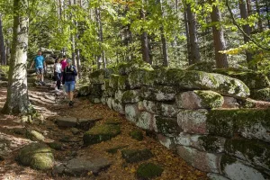 Balades Nature - Les mystères du Mur Païen