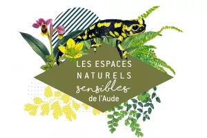 ENS - DISCRÈTES SAUTERELLES NOCTURNES