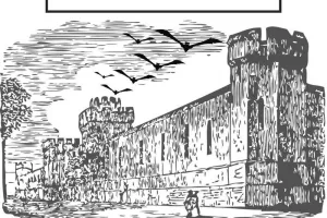 A la découverte des chauves-souris