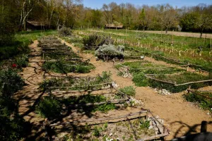 Rendez-vous nature : À la découverte de la nature