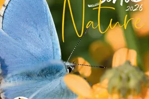 Sortie Nature : Les Libellules du Lac