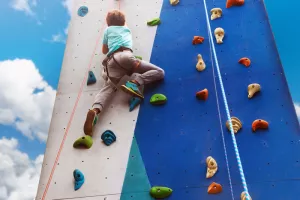 Animation sportive