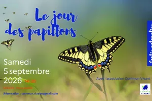 Le jour des papillons