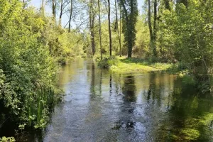 Randonnée pédestre au fil des moulins et des champs de lavandin