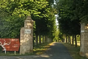 Balade au Domaine de La Solitude