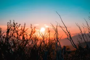 LEVER DU SOLEIL SUR LE CAUSSE MÉJEAN