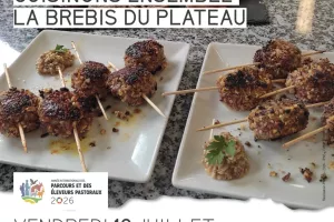 Cuisinons ensemble la brebis du plateau