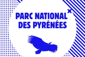 Nuit internationale de la chauve souris