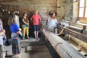Tours et détours de la laine