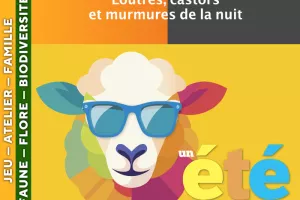 CÉVENNES - Loutres, castors et murmures de la nuit