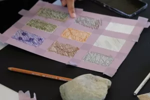 Atelier chromatique du parc en famille "Nuancier sensible"