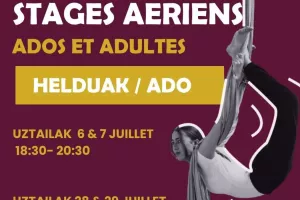Stage de Cirque spécialité aériens