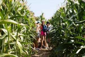 Mission Carv'impossible, au coeur du Labyrinthe de Carvin !