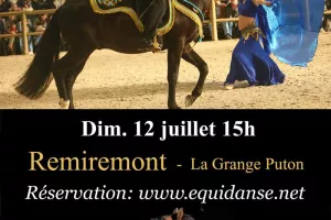 Spectacle EquiDanse