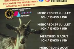 Visite guidée exploitation familiale : La ferme des Domoiselles - Copie