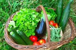 Marché du terroir tous les jeudis