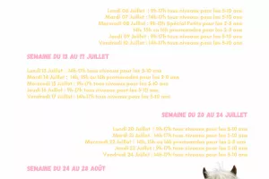 Stages d'été à Poney