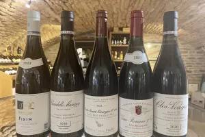 Voyage Sensoriel autour de la Côte de Nuits