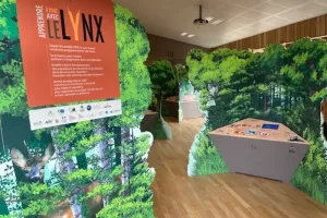 Exposition interactive "Apprendre à vivre avec le lynx"