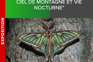 ALPES AZUR MERCANTOUR - Exposition "La lumière nuit, ciel de montagne et vie nocturne"