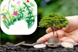 Stage - 4 jours pour se construire une vie éco responsable