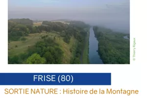 Sortie Nature à Frise