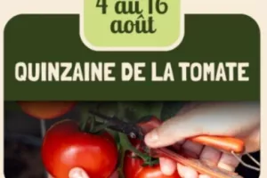 La quinzaine de la tomate