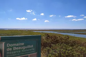 La plage et les dunes