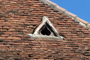 Balade commentée du bourg béarnais du XVIIIe