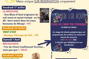 CONCERT AU MOULIN : "VINYL FOLK"