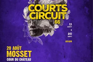 COURTS CIRCUITS 66