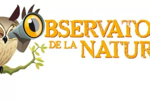 La nuit de la chauve-souris