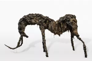 Exposition "Un désir souterrain" à la Maison Daura