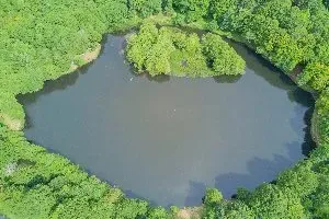 Pêche au lac des Picades à Brameloup