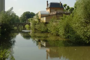 La beuquette du pat' : comme un poisson dans l'eau