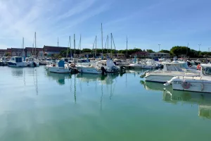 LES PETITS TRÉSORS EN DOMITIENNE : VENDRES