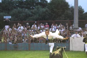 Courses de vaches landaises