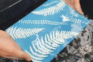 Atelier Végétal Créatif avec M.A Nature : Cyanotype