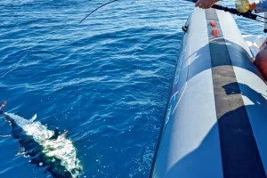 CHALLENGE DE LA VILLE DE GRUISSAN DE PÊCHE AU GROS