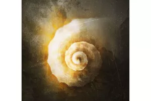 Le temps qui pousse - Parcours sonore d’Alain Damasio et Floriane Pochon