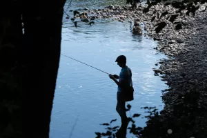 Concours de pêche à la Truite
