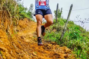 Trail  & Challenge VTT