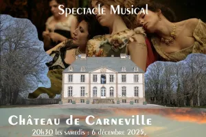 ANNULÉ - Spectacle musical : Putain de château
