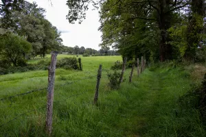 Randonnée douce avec Pique et Pousse en Quercy Blanc