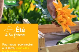 ÉTÉ A LA FERME : PLONGEZ AU CŒUR DES FERMES VOSGIENNES