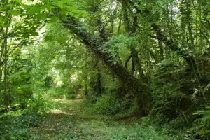 Nature, saveurs et détente au Domaine du Sablou