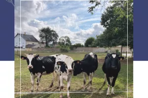 Visite à la ferme de Bel Air